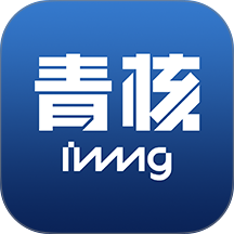 青核INNNG软件图标