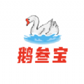 鹅叁宝app图标