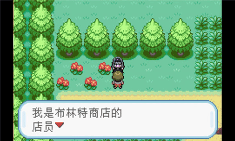 口袋妖怪游戏