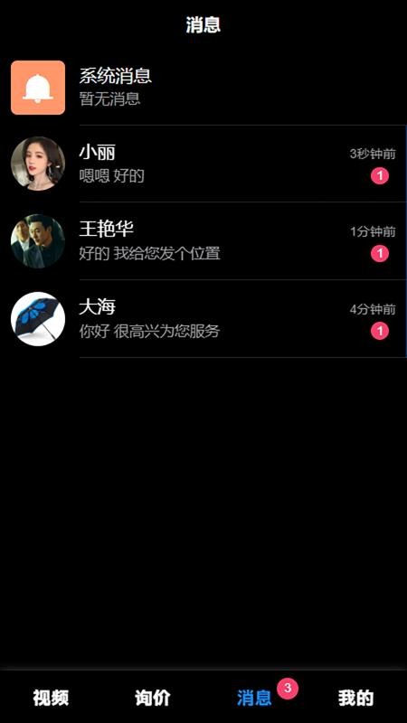 只视车官网版