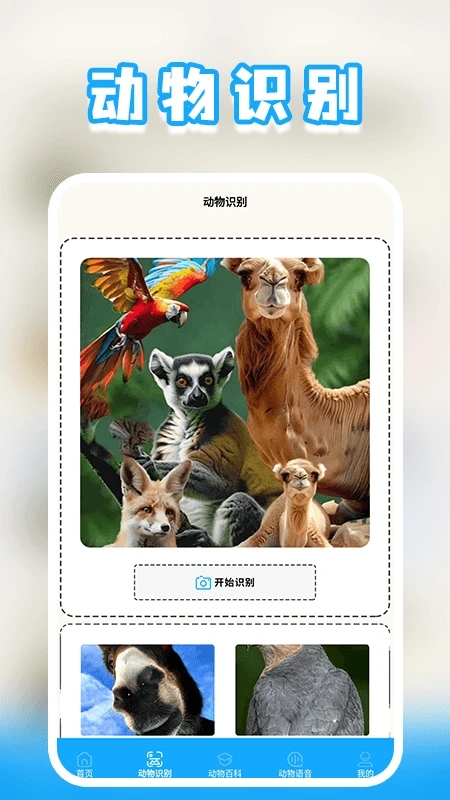 宝宝识动物APP图2