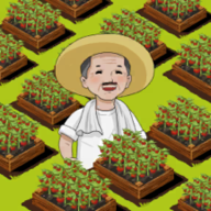 有块菜地游戏图标