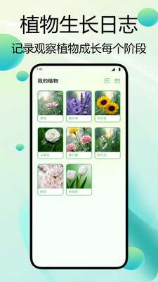 闪用识花软件图3