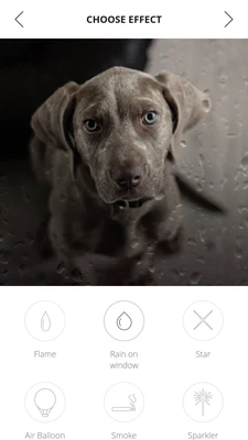 VIMAGE软件图1
