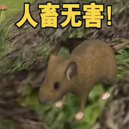 老鼠真实模拟游戏图标