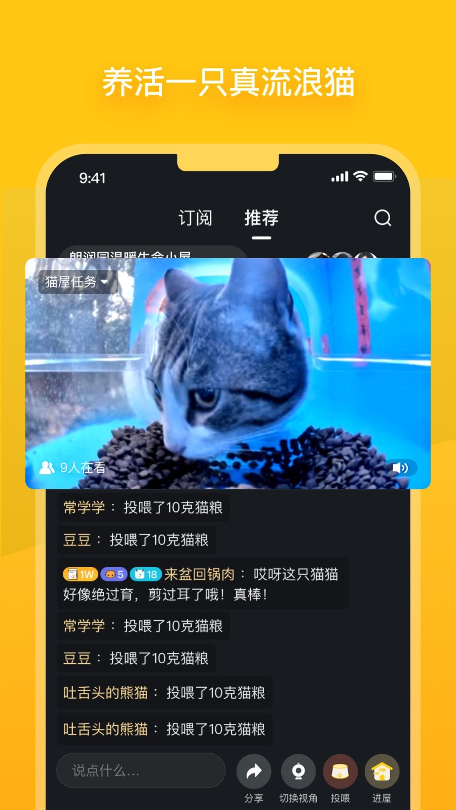 哈啰街猫图3