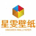 星雯壁纸图标