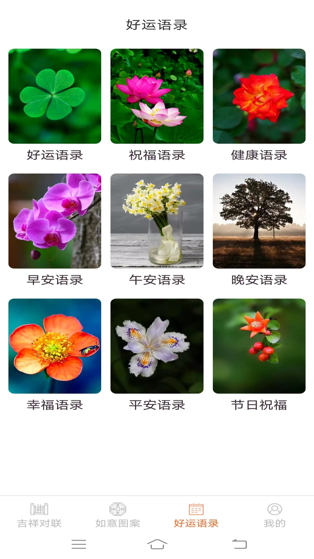 如意有好运图2