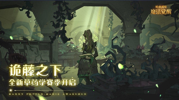 哈利波特:魔法觉醒外服图3