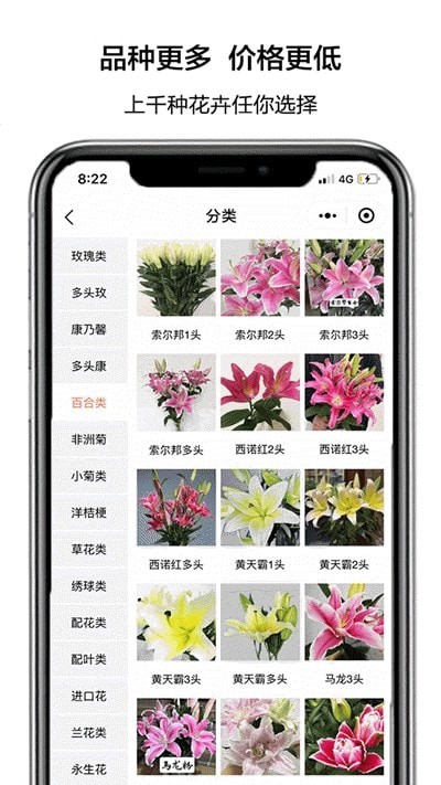 花比三家图5