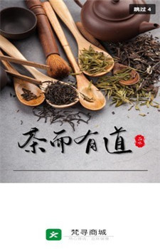 梵寻图3