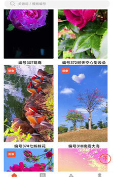 左拍图2