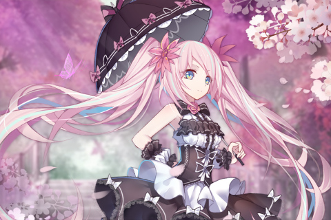 彩色之路破解版截图4