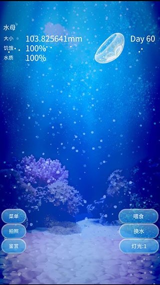 养育水母的治愈截图7