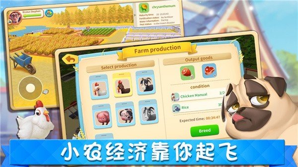 城市梦想家图1