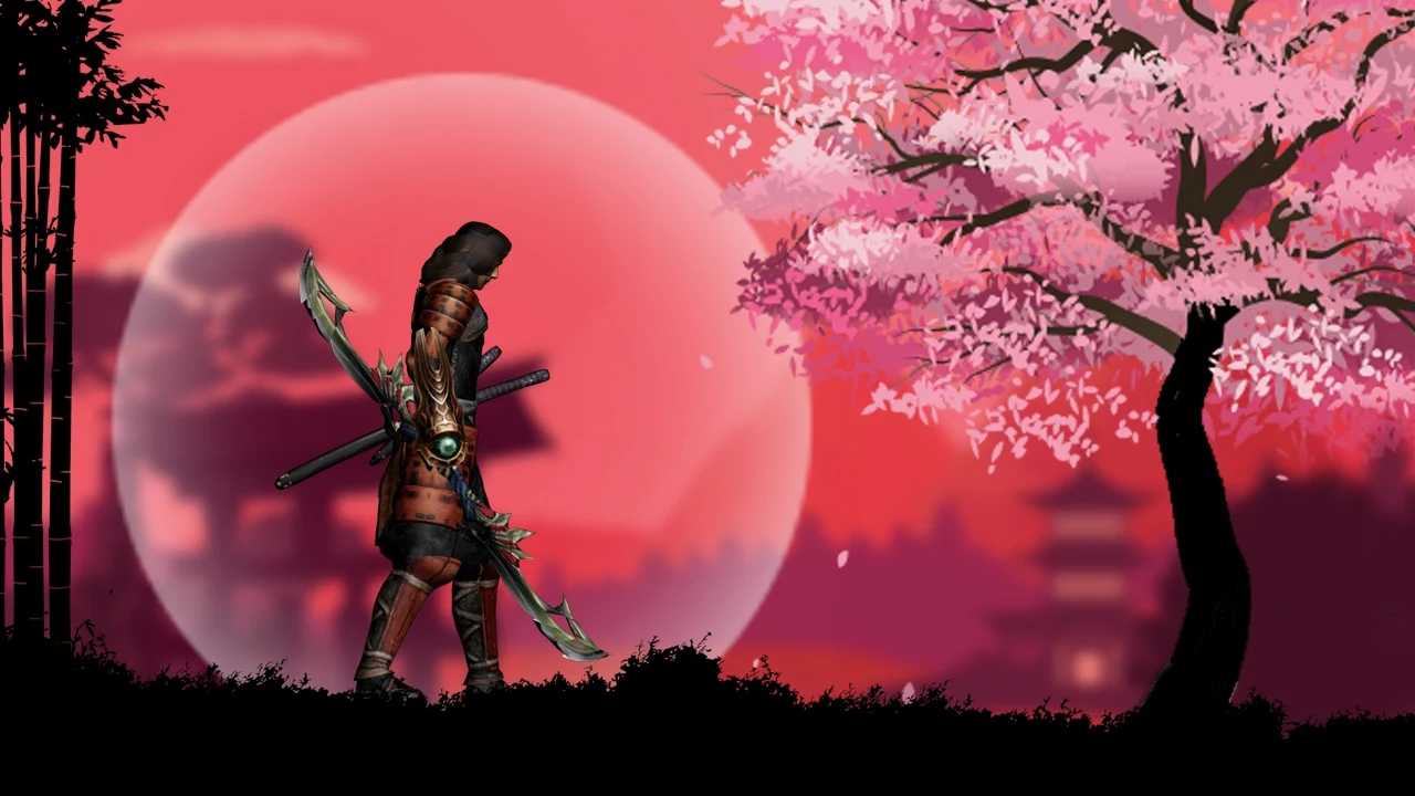 武士大冒险杀死忍者图3