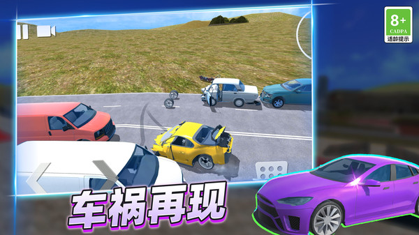 疯狂赛车手3D图3
