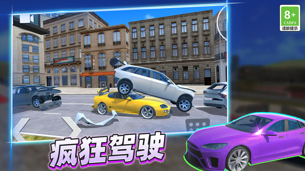 疯狂赛车手3D图2