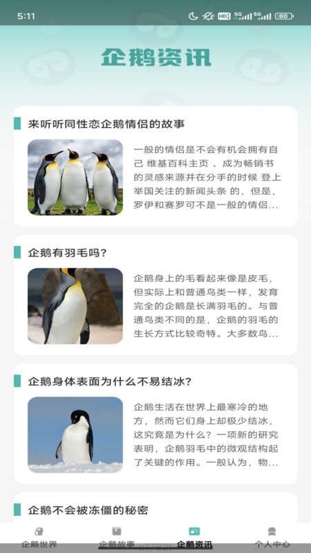 企鹅妙看图2