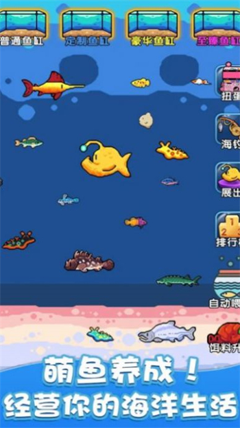 快来养鱼图1