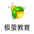 极萤软件