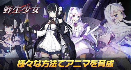 野生少女图1