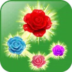 rose paradise