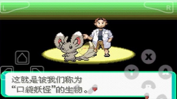口袋妖怪漆黑的魅影5.0版本图3