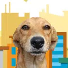 狗头的飞跃游戏(flappy vira lata caramelo)