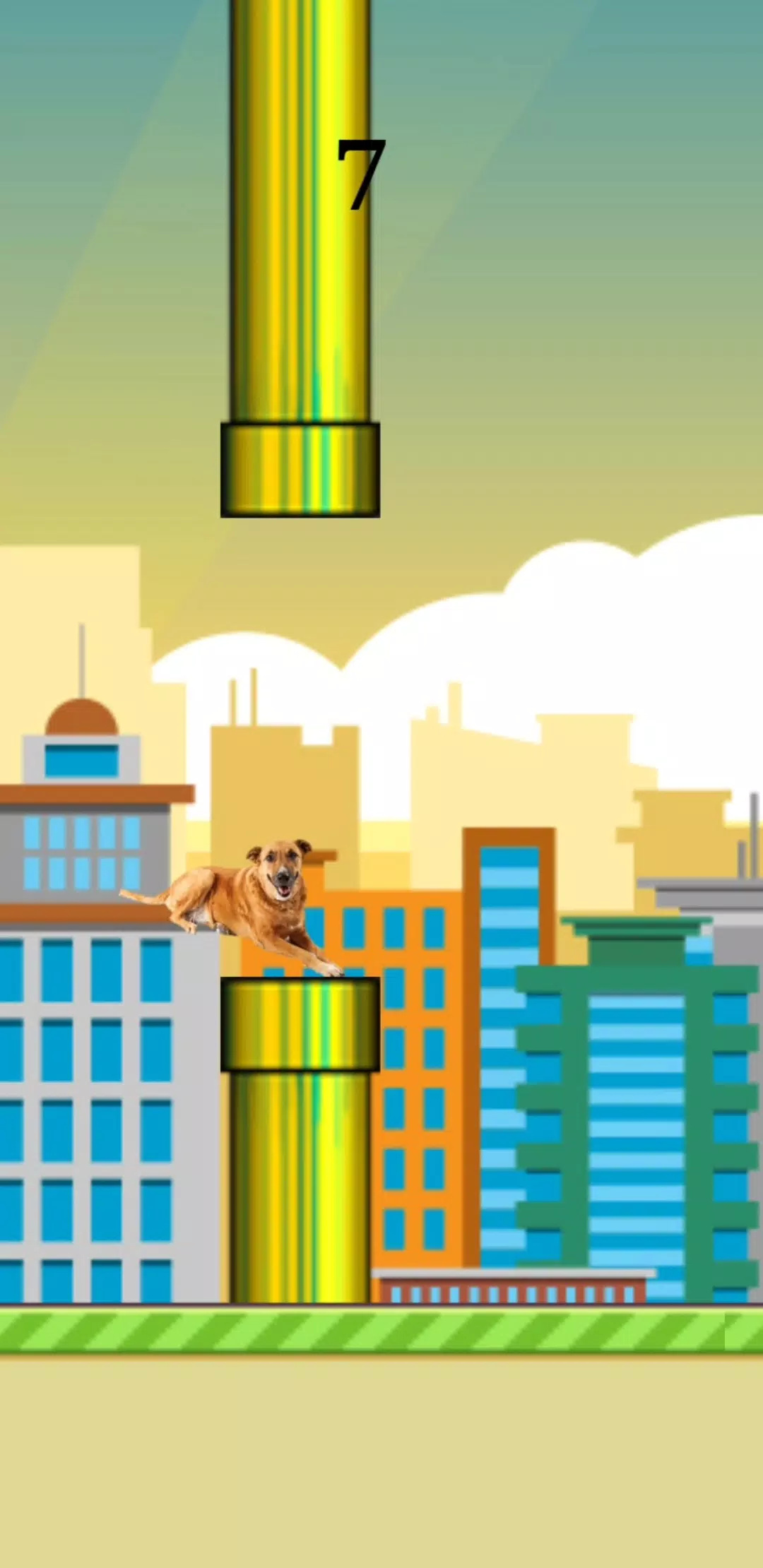 狗头的飞跃游戏(flappy vira lata caramelo)图3