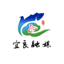 宜良融媒app