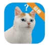 逃脱游戏猫的视角