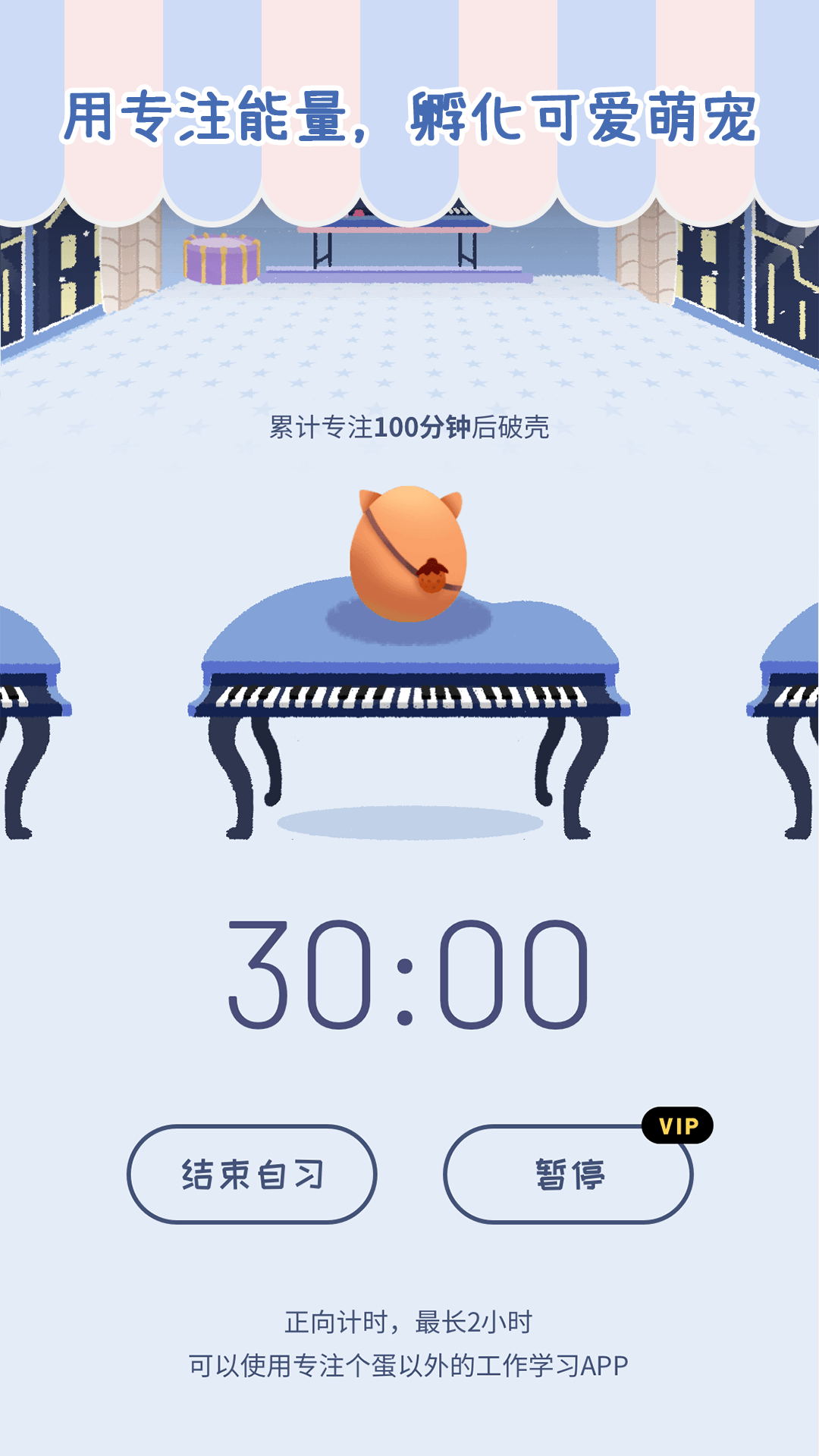 专注崽崽官网版图2