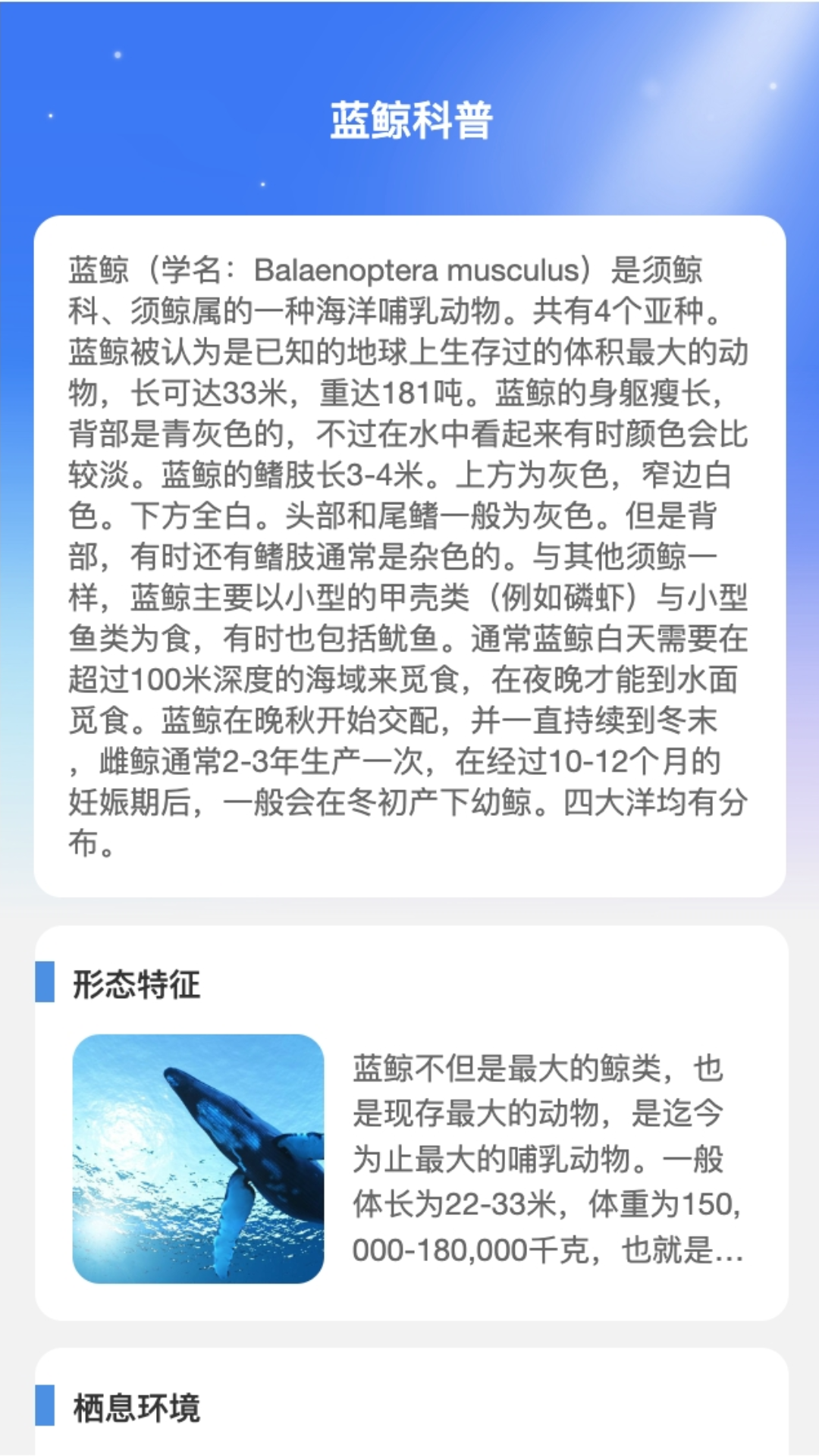 蓝鲸WiFi图1