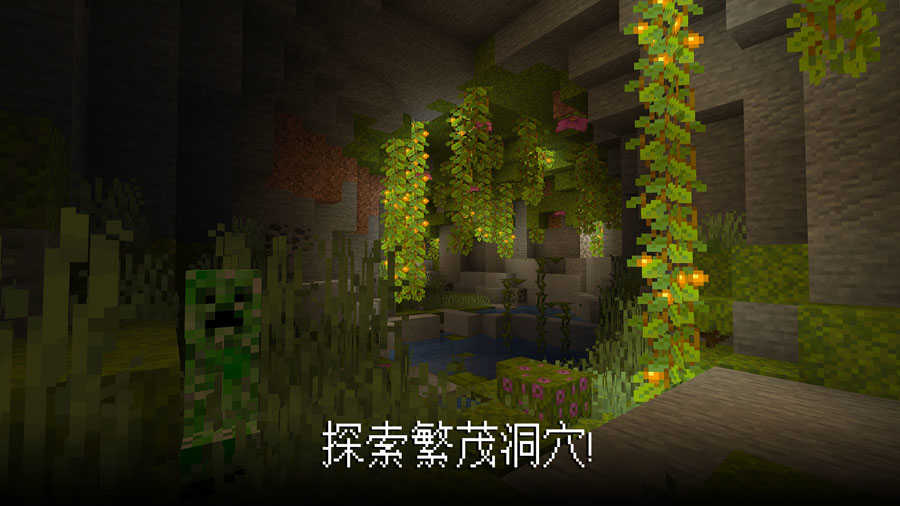 minecraft国际版免费手机版图2