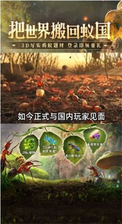 蚁族总动员图3