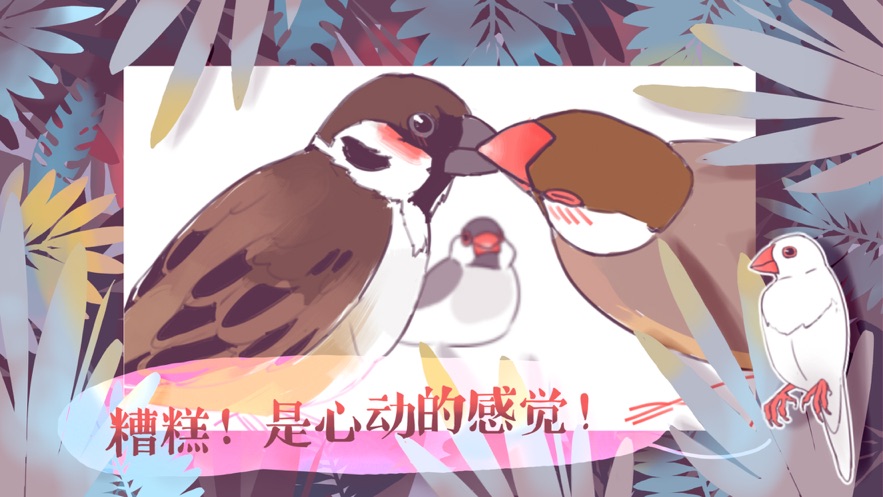 文鸟恋爱物语图3