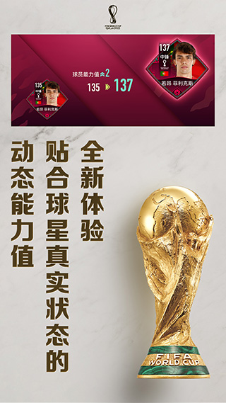 fifa足球世界体验服