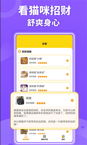 招财进猫图4