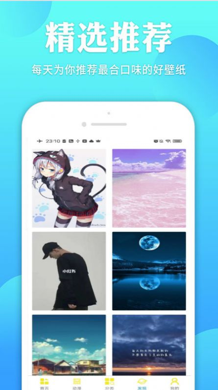 Bunny壁纸图3