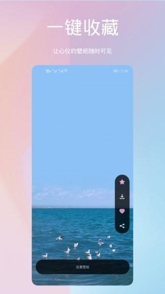 鹦鹉螺壁纸app