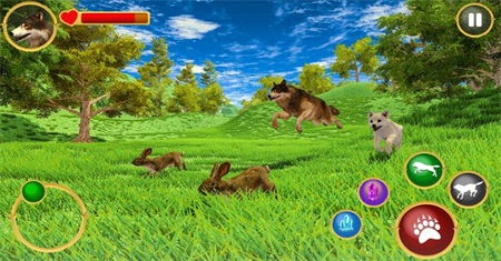 野狼模拟器3D(Wild Wolf Simulator 3D)图1