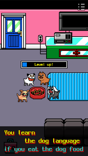 我变成了一只狗(I Became a Dog)图2