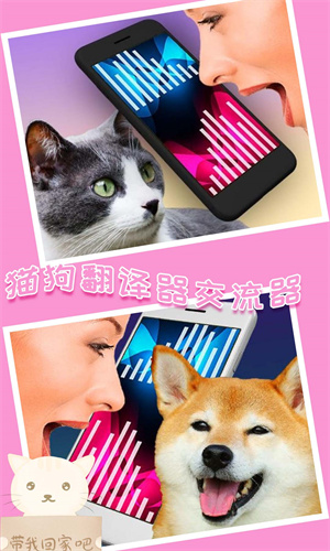 我的猫狗世界