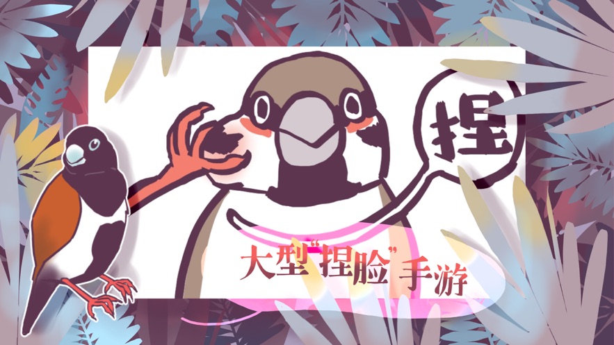 文鸟恋爱物语图2