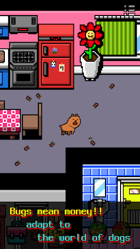 我变成了一只狗(I Became a Dog)图1
