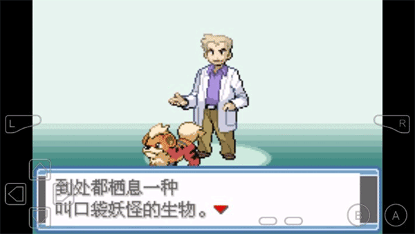 口袋妖怪永恒之炎图2