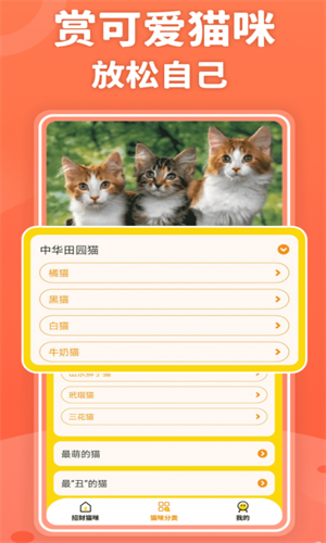 招财进猫图2