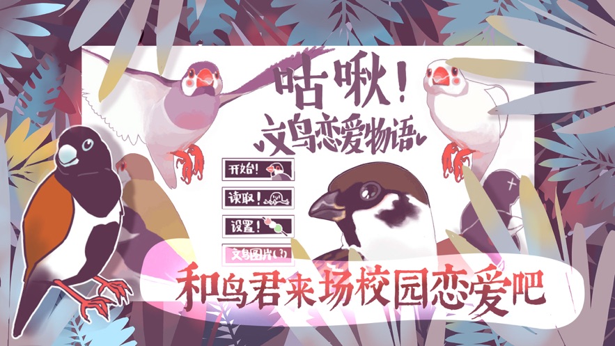 文鸟恋爱物语图4