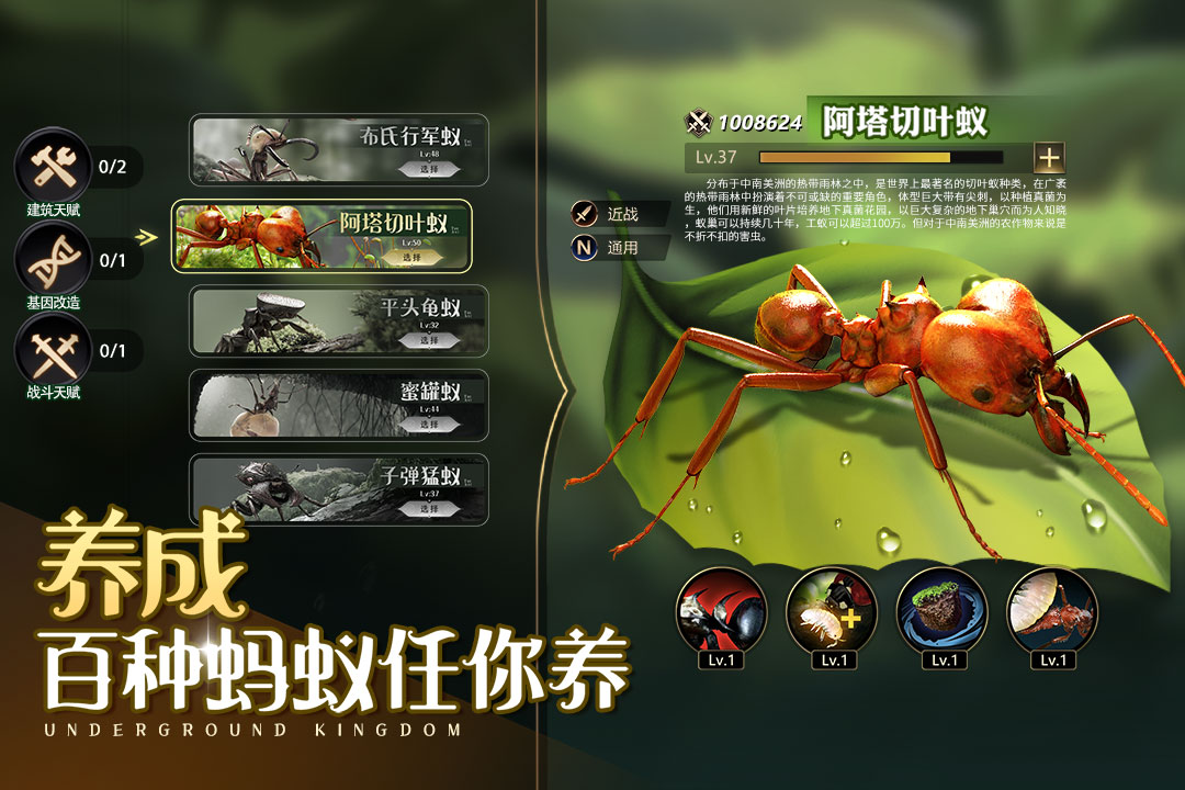 小小蚁国最新版全无限钻石图4